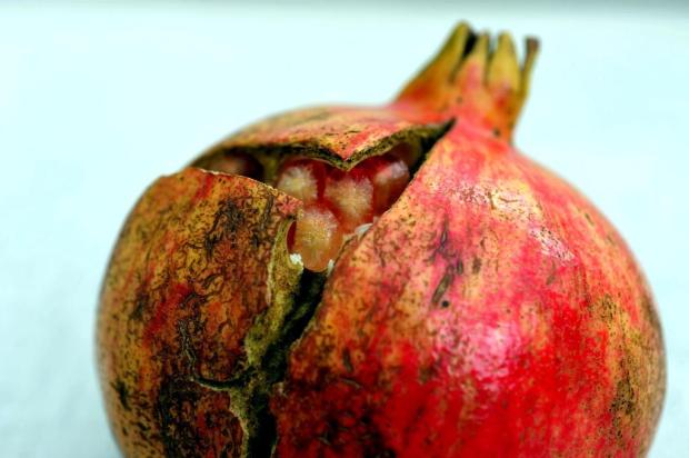 Conheça 13 alimentos que podem melhorar a qualidade de vida Roni Rigon/Agencia RBS Conheça 13 alimentos que podem melhorar a qualidade de vida Roni Rigon/Agencia RBS