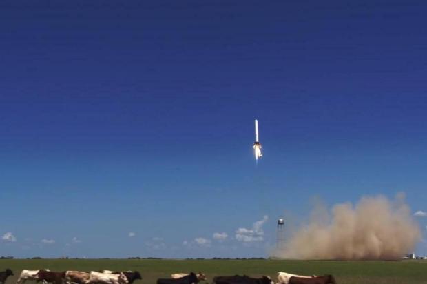 Em vídeo, foguete "estacionável" assusta rebanho bovino durante lançamento nos EUA SpaceX/Youtube