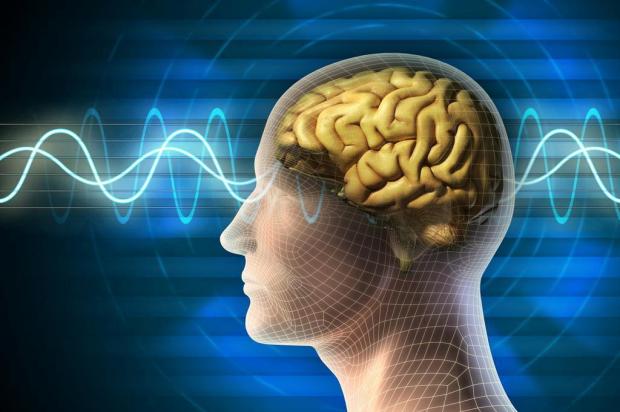 Cientistas descobrem estado de atividade no cérebro após morte cerebral Patrick Lewson/Morguefile Cientistas descobrem estado de atividade no cérebro após morte cerebral Patrick Lewson/Morguefile
