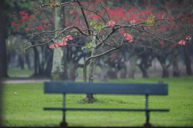 Cinco coisas que você deve saber sobre a primavera que começa neste domingo Mauro Vieira/Agencia RBS