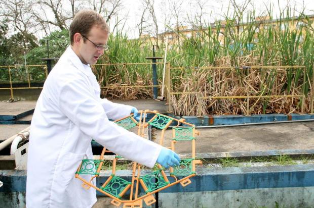 Novo Hamburgo testa tecnologia para tratamento de esgoto que utiliza plantas e pode reduzir custos Charles Dias/Especial Novo Hamburgo testa tecnologia para tratamento de esgoto que utiliza plantas e pode reduzir custos Charles Dias/Especial