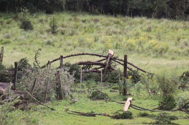 Especialistas confirmam ocorrência de tornados em São Joaquim, na Serra de SC Wagner Urbano,On Jack/Divulgação