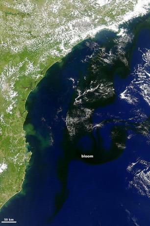 Efeito de calor extremo, mancha escura de 800 km cobre litoral do Rio até SC NASA/Divulgação