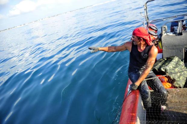 Temperatura do oceano sobe quase cinco graus em relação a 2013, e até os peixes sentem os efeitos do clima Bruno Alencastro/Agencia RBS