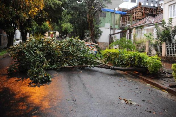 Frio e temporal com rajadas de vento acima dos 70 km/h marcam a quinta-feira pelo RS Diogo Zanatta/Especial