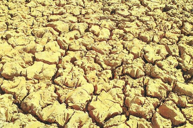 Nordeste do país teve a pior seca em 50 anos, de acordo com relatório Ver Descrição/Agencia RBS
