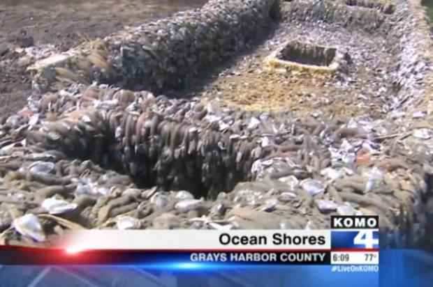 Barco que pode ter saído do Japão após tsunami é encontrado na costa americana Jornal Komo News/Reprodução