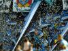 Torcedores apóiam time do Grêmio em busca da segunda vitória no Gauchão