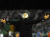 Fossati impaciênte a beira do gramado