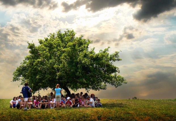 Autor explica o que o "Transtorno de Déficit de Natureza" causa às crianças SXC / Autor explica o que o "Transtorno de Déficit de Natureza" causa às crianças SXC /